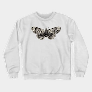 Brahmaea Moth - Vintage Illustrated Insect Crewneck Sweatshirt